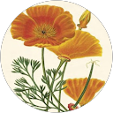 íssa victoria guzmán profile picture