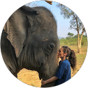 Caitlin Wild profile picture